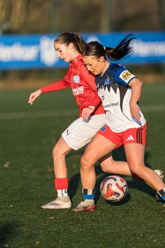 Bild 239 - wBJ Hamburger SV - Holstein Kiel : Ergebnis: 8:0